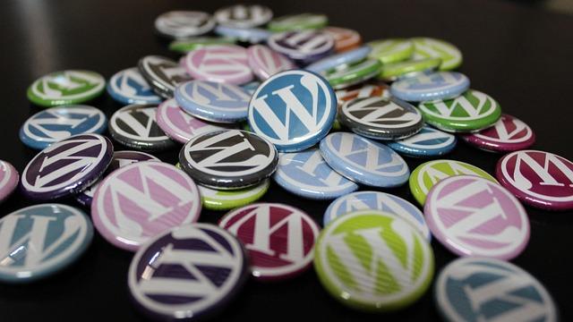 nom de domaine professionnel comparatif avec WordPress