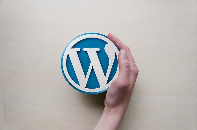 serveur dédié économique comment optimiser avec WordPress